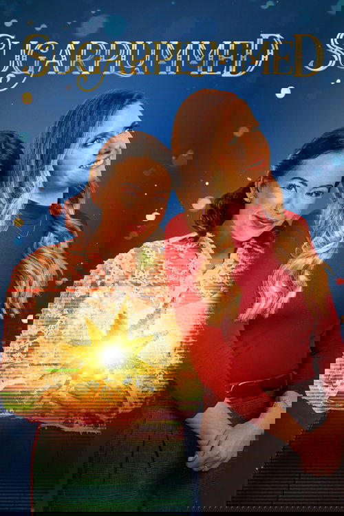 Les règles d'or d'un Noel parfait streaming gratuit vf vostfr 